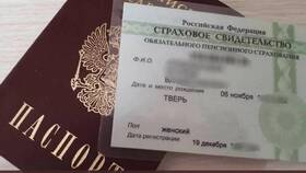 Что такое номер пенсионного свидетельства в Орби