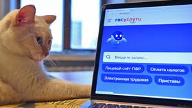 Что такое онлайн выписка в Орби