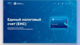 Что такое положительное сальдо на Едином в Орби