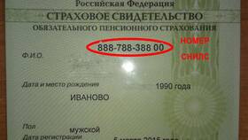 Если потерян СНИЛС: что делать и куда обращаться в Орби