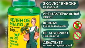 Инструкция по применению зеленого мыла от вредителей в Орби