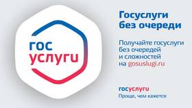 История работы портала Госуслуги в Орби