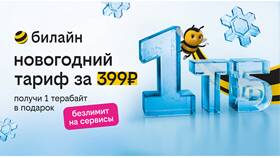 Как пополнить интернет-трафик на Билайне в Орби