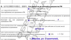Как правильно заполнить анкету на визу в Китай в Орби