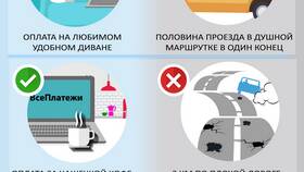 Как законно расходовать деньги ООО в Орби