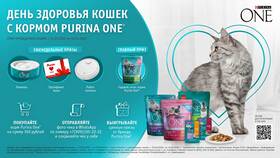 ООО 