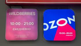 Почему Ozon не открывается в браузере в Орби