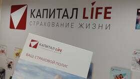 Займы как Капиталина: обзор сервиса в Орби