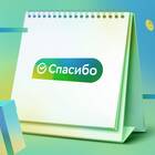 Как действуют бонусы СберСпасибо