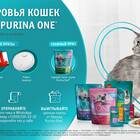 ООО 