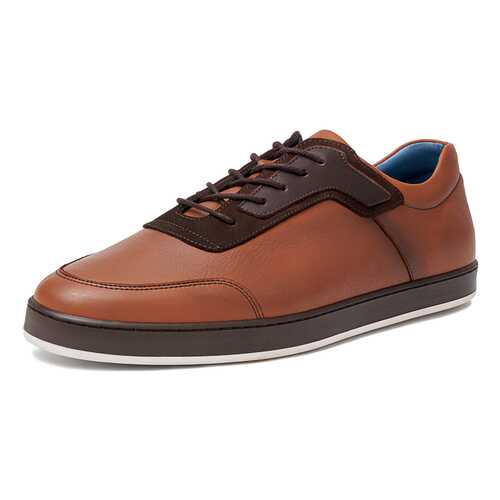Кеды мужские Pierre Cardin TR-CR-1601 коричневые 45 RU в Орби